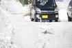 白鳥来店