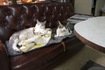 今日の営業部長