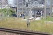 今年もSLがやってきた