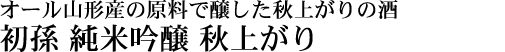 初孫(はつまご) 純米吟醸 秋上がり  【山形の地酒専門店 木川屋】