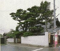 鯉川 外観