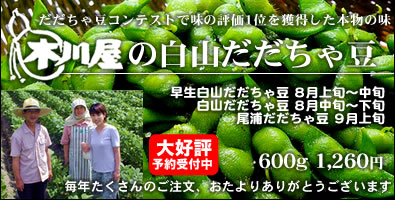 2009年 木川屋のだだちゃ豆