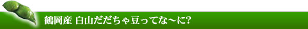 だだちゃ豆の由来