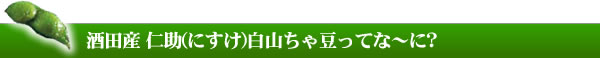 酒田産 仁助(にすけ)白山ちゃ豆ってな～に
