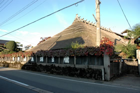 柿風景
