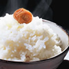 木川屋の蔵人米