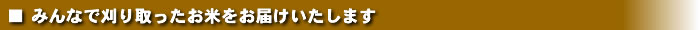 お届けするのは人気急上昇の庄内米「ひとめぼれ」