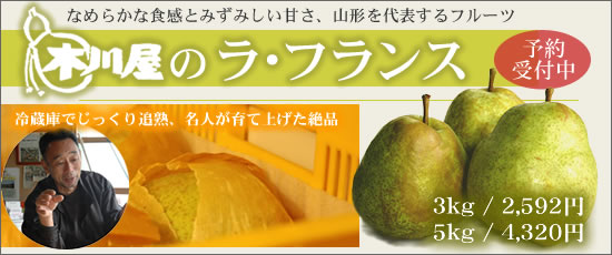 新酒しぼりたて