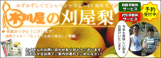 2010年刈屋梨 受付開始