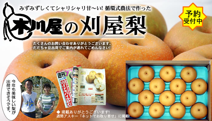 刈屋梨 幸水・豊水・新星 甘くてジュ～シ～♪【木川屋】