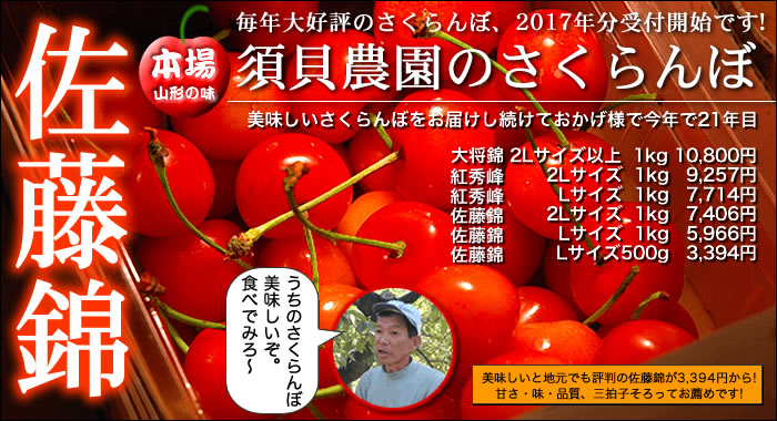 木川屋のさくらんぼ 佐藤錦 大将錦 紅秀峰