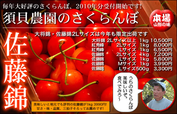木川屋のさくらんぼ 佐藤錦 大将錦 紅秀峰