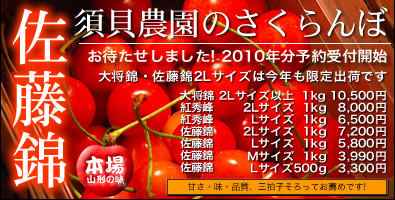 木川屋のさくらんぼ