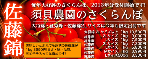 2012年 須貝農園のさくらんぼ