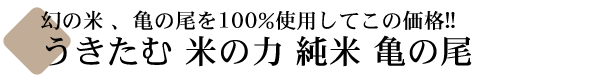 米鶴 (よねつる) 米の力 純米 亀の尾