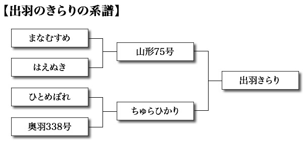 出羽の里の系譜