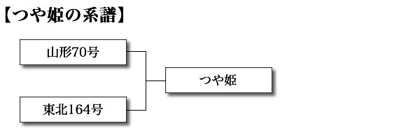 つや姫の系譜