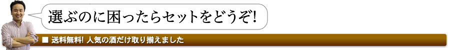 送料無料! お酒セット