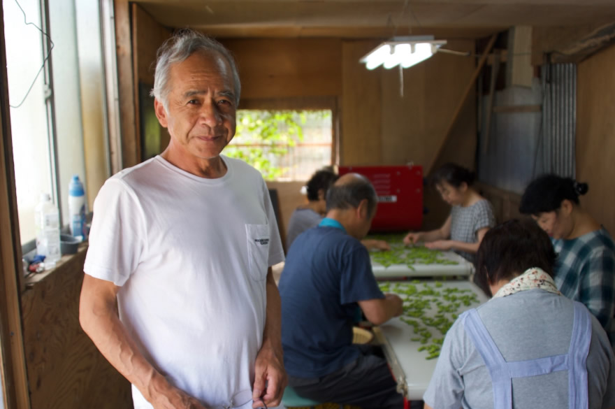 だだちゃ豆作り名人の板垣さん