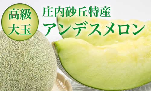 庄内特産 高級 大玉 アンデスメロン