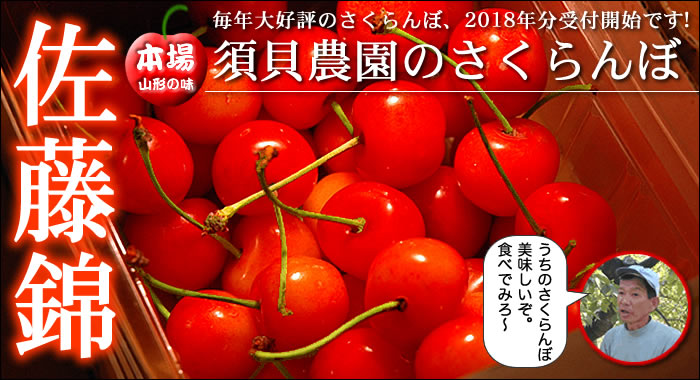 木川屋のさくらんぼ 佐藤錦 大将錦 紅秀峰