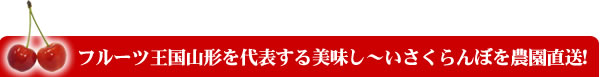 フルーツ王国山形を代表する美味しいさくらんぼを農園直送