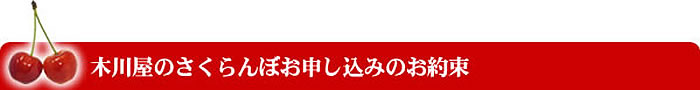 木川屋のさくらんぼお申し込みのお約束