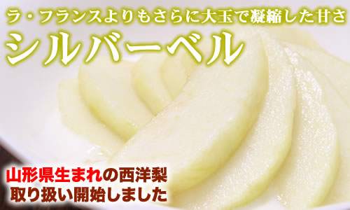 刈屋産 シルバーベル