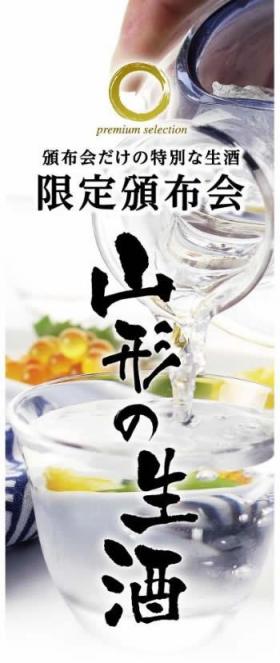 hanpu-title.jpg